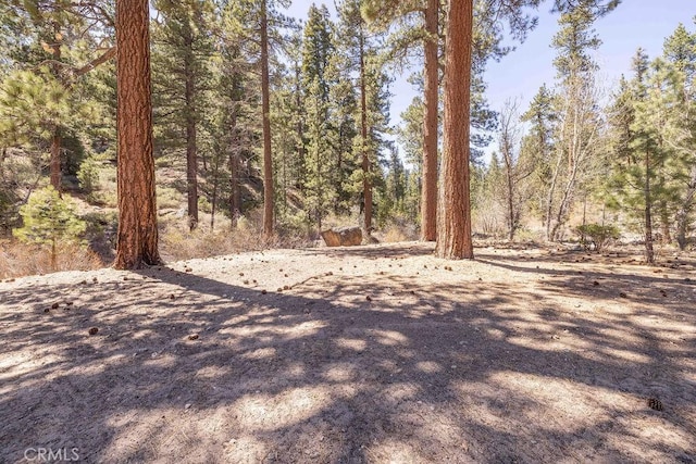 39117 Rim Of The World Dr, Fawnskin, CA 92333 - photo 22