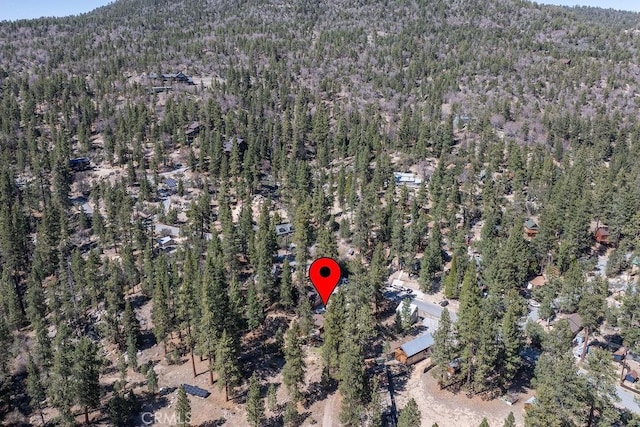 39117 Rim Of The World Dr, Fawnskin, CA 92333 - photo 57