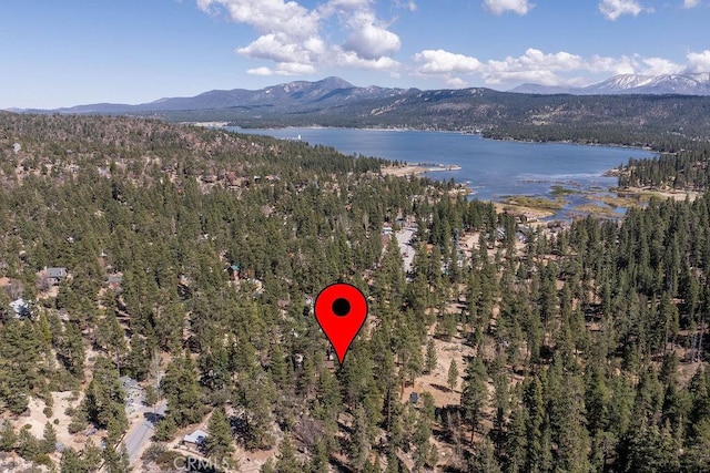 39117 Rim Of The World Dr, Fawnskin, CA 92333 - photo 55