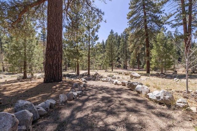 39117 Rim Of The World Dr, Fawnskin, CA 92333 - photo 21