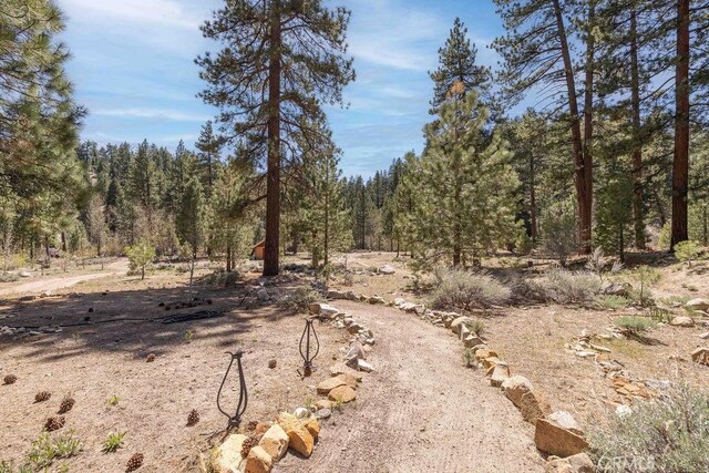 39117 Rim Of The World Dr, Fawnskin, CA 92333 - photo 20