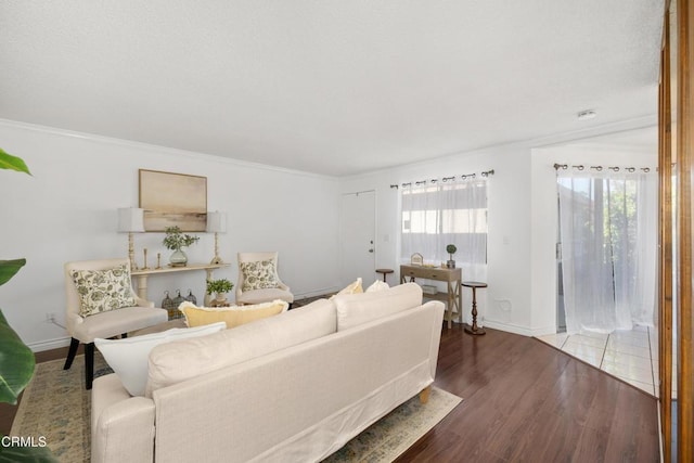 living area featuring wood finished floors, baseboards, and crown molding
