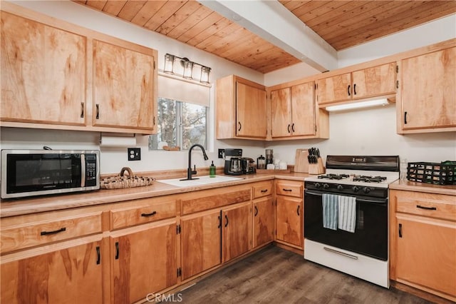 753 Maple Ln, Sugarloaf, CA 92386 - kitchen with gas range gas stove, stainless steel microwave, a sink, wood ceiling, and dark wood-style floors