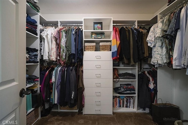 32804 Red Carriage Rd, Winchester, CA 92596 - walk in closet with carpet floors
