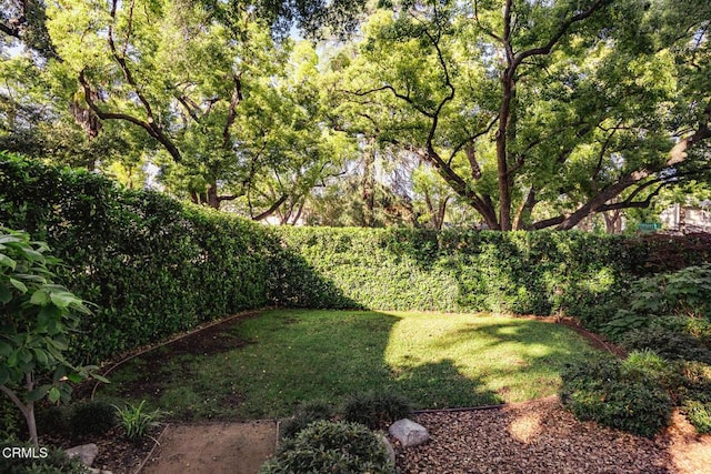 657 Prospect Blvd, Pasadena, CA 91103 - view of yard