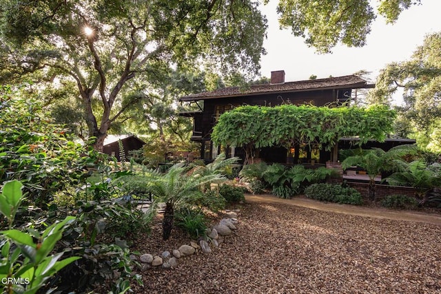 657 Prospect Blvd, Pasadena, CA 91103 - view of yard