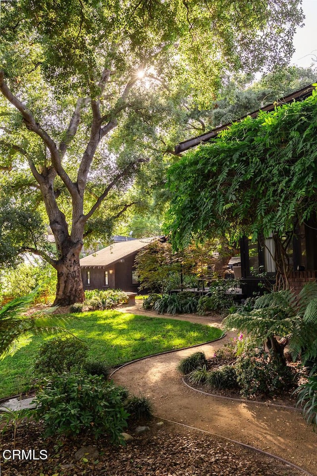 657 Prospect Blvd, Pasadena, CA 91103 - view of grassy yard
