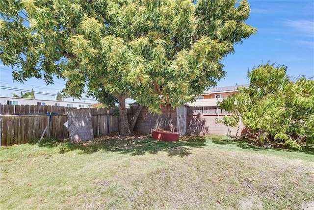 view of yard