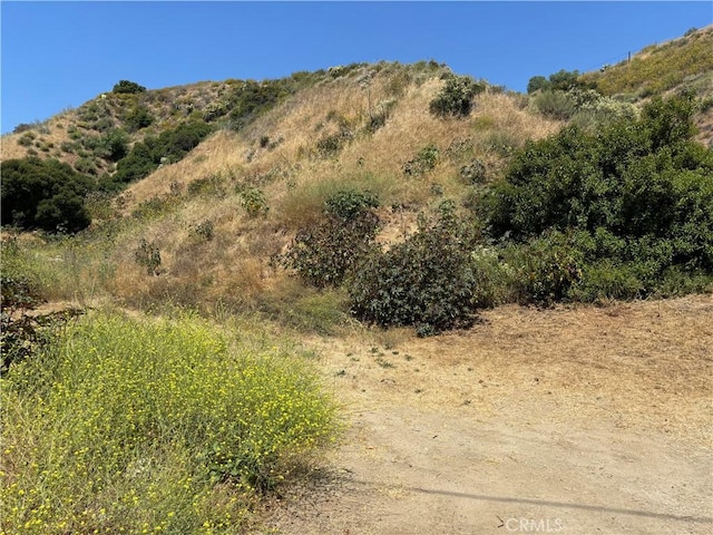 8001 Denivelle Rd, Sunland, CA 91040