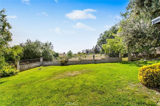 view of yard