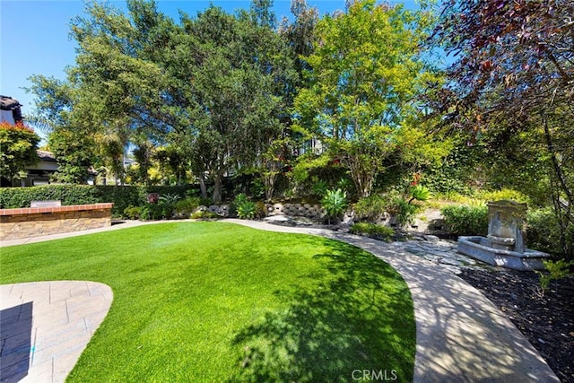 107 Plaza Via Sol, San Clemente, CA 92673 - view of green lawn