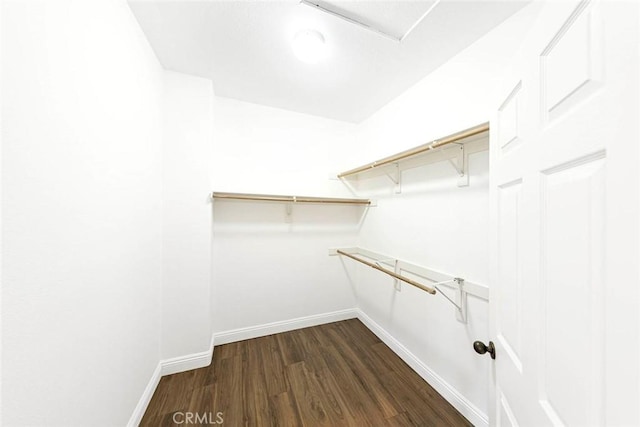 107 Plaza Via Sol, San Clemente, CA 92673 - walk in closet featuring dark wood-style flooring