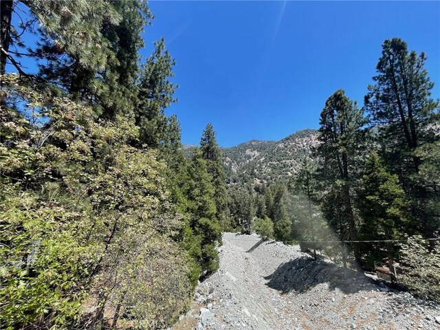 9345 Conifer Dr, Forest Falls, CA 92339 - mountain view with a heavily wooded area
