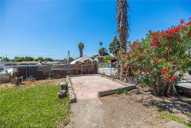 747 W 9th St, San Bernardino, CA 92410 - view of yard