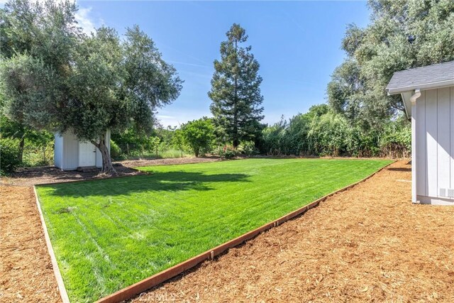 1105 Glenwood Ave, Chico, CA 95926 - view of grassy yard featuring a storage unit and an outdoor structure