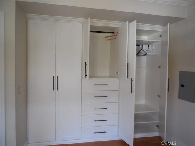 31462 La Matanza St, San Juan Capistrano, CA 92675 - closet featuring electric panel