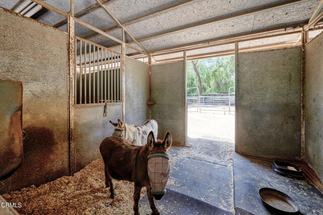 11616 E Las Posas Rd, Camarillo, CA 93012 - view of stable