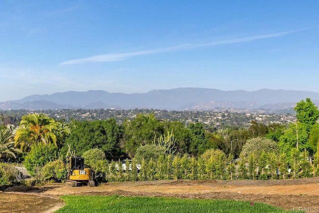 239 Futurity Ln, Fallbrook, CA 92028 - view of mountain backdrop