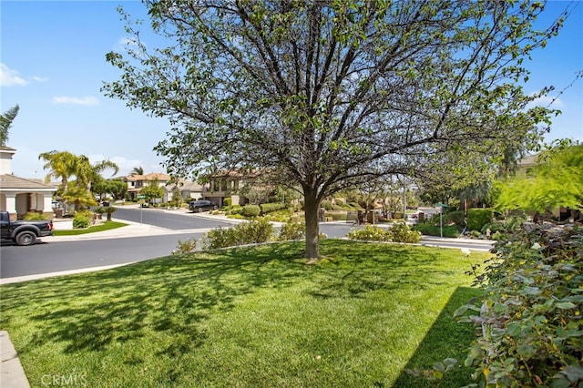 35987 Corte Renata, Murrieta, CA 92562 - view of green lawn featuring a residential view