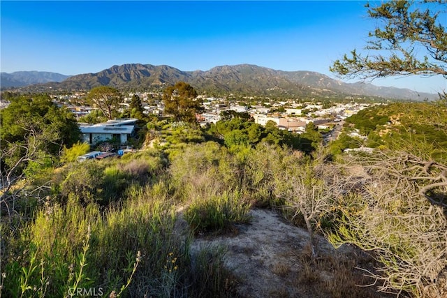 9832 Redmont Ave, Tujunga, CA 91402