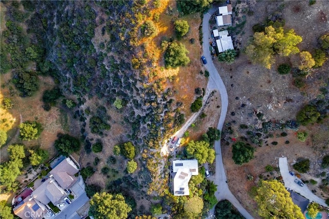 9832 Redmont Ave, Tujunga, CA 91402