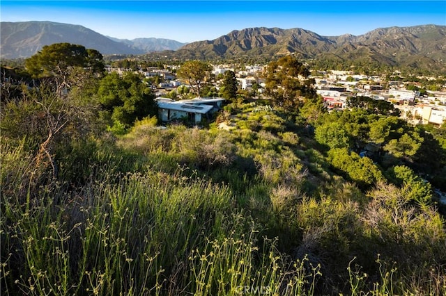 9832 Redmont Ave, Tujunga, CA 91402