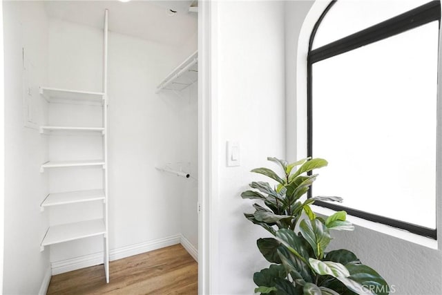 walk in closet featuring wood finished floors