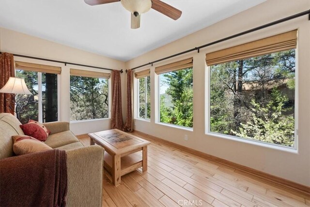 694 Butte Ave, Big Bear City, CA 92314 - photo 14