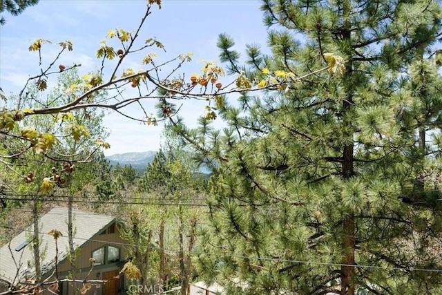 694 Butte Ave, Big Bear City, CA 92314 - photo 44