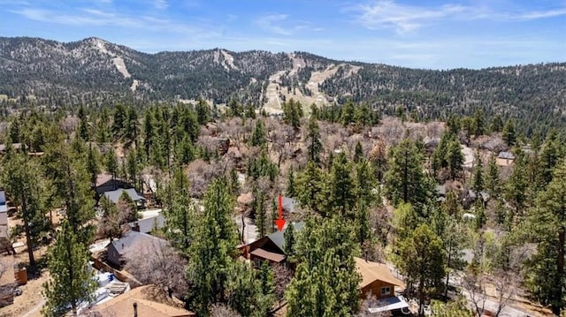 694 Butte Ave, Big Bear City, CA 92314 - photo 46