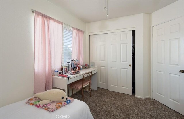 1065 Sycamore Ln, San Jacinto, CA 92582 - bedroom with carpet and a closet