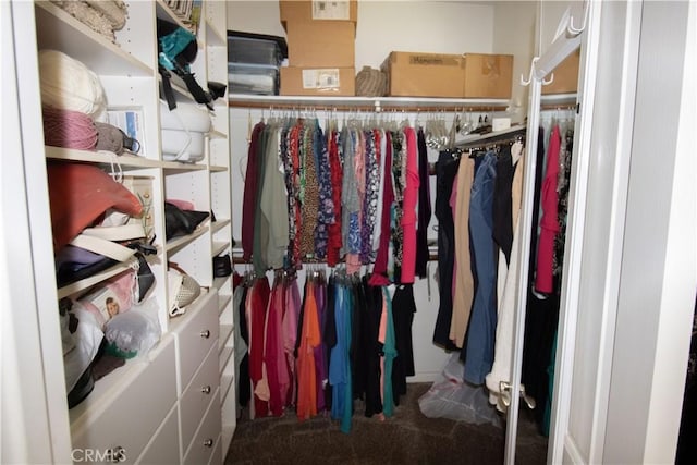 spacious closet featuring carpet flooring