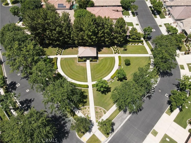 bird's eye view