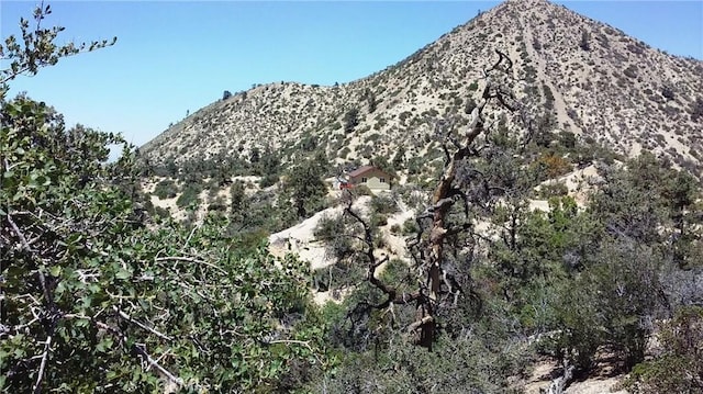 0 Desert Front, Pinon Hills, CA 92372