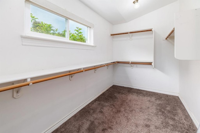 spacious closet with carpet floors
