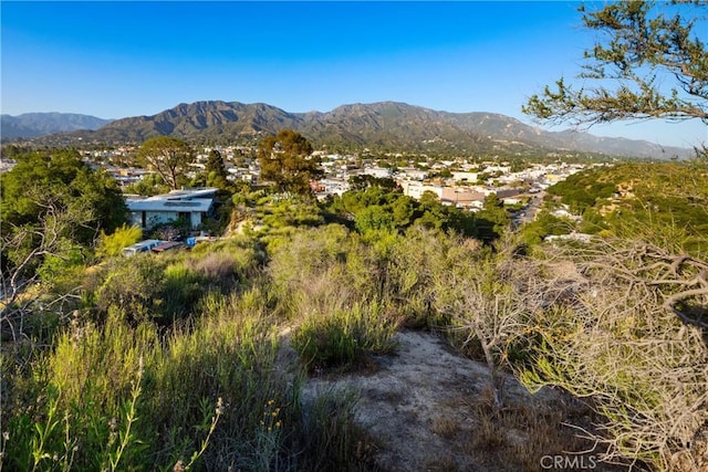 9824 Redmont Ave, Tujunga, CA 91402