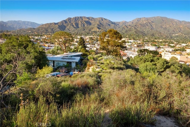 9824 Redmont Ave, Tujunga, CA 91402