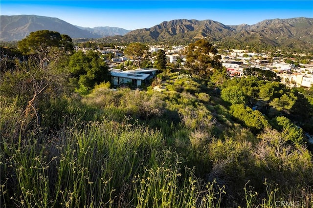 9824 Redmont Ave, Tujunga, CA 91402