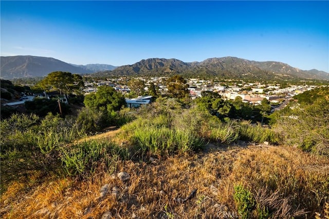 9824 Redmont Ave, Tujunga, CA 91402