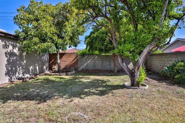 view of yard