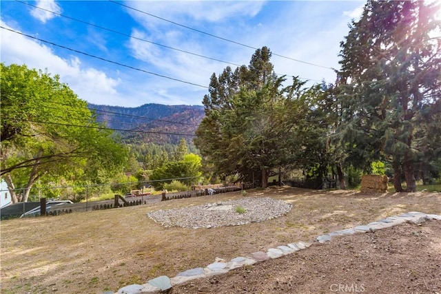 1145 Rivera Dr, Wrightwood, CA 92397 - photo 35