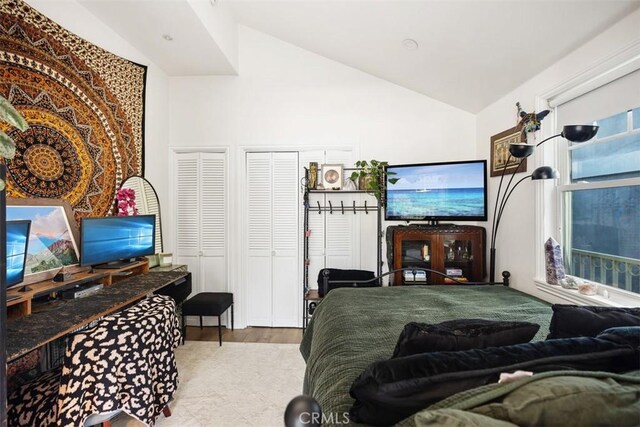 385 Mermaid, Laguna Beach, CA 92651 - bedroom featuring vaulted ceiling, wood finished floors, and two closets