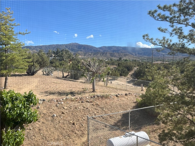 984 Pinon Rd, Pinon Hills, CA 92372 - photo 20
