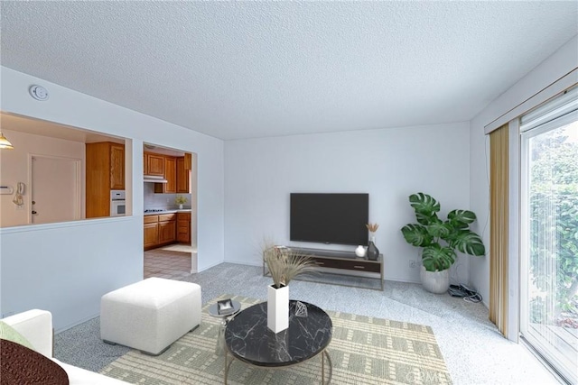 1012 W Lime Ave, Lompoc, CA 93436 - living room with plenty of natural light, light colored carpet, and a textured ceiling