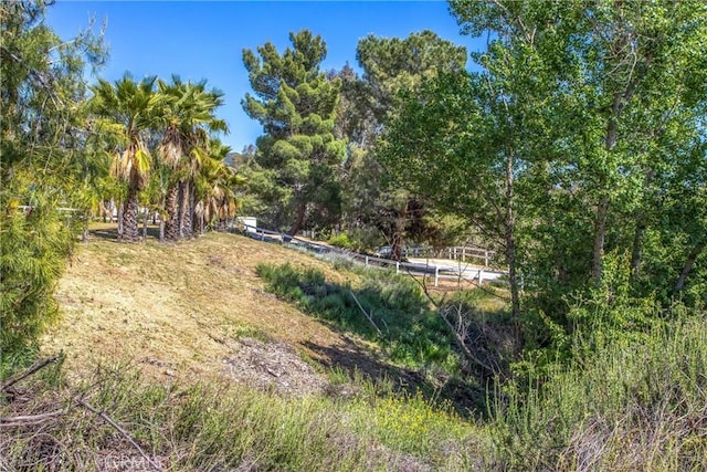 11425 Bryant St, Yucaipa, CA 92399 - view of yard with a forest view
