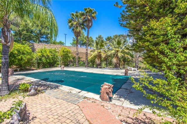 11425 Bryant St, Yucaipa, CA 92399 - view of pool featuring a covered pool and a patio area