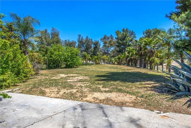 11425 Bryant St, Yucaipa, CA 92399 - view of yard with a patio area