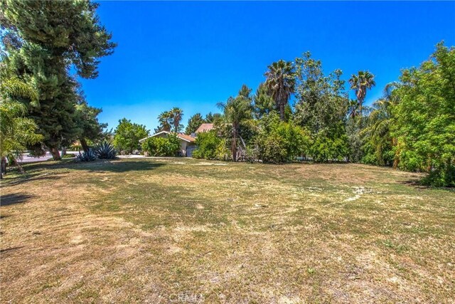11425 Bryant St, Yucaipa, CA 92399 - view of green lawn