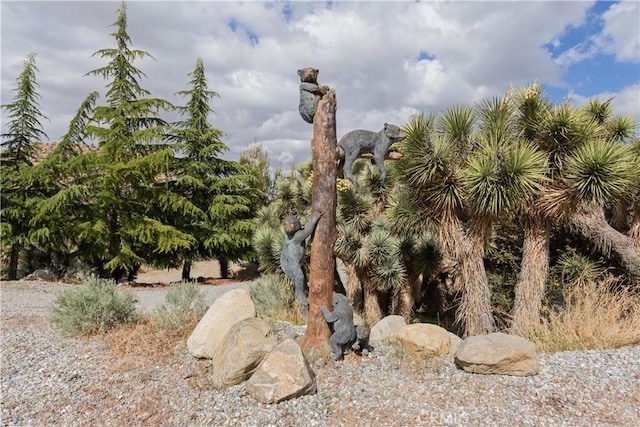 1870 Oak Springs Valley Rd, Wrightwood, CA 92397 - photo 7