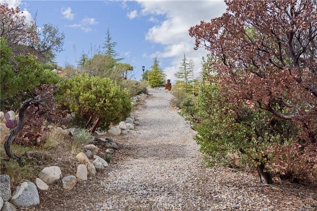 1870 Oak Springs Valley Rd, Wrightwood, CA 92397 - photo 6
